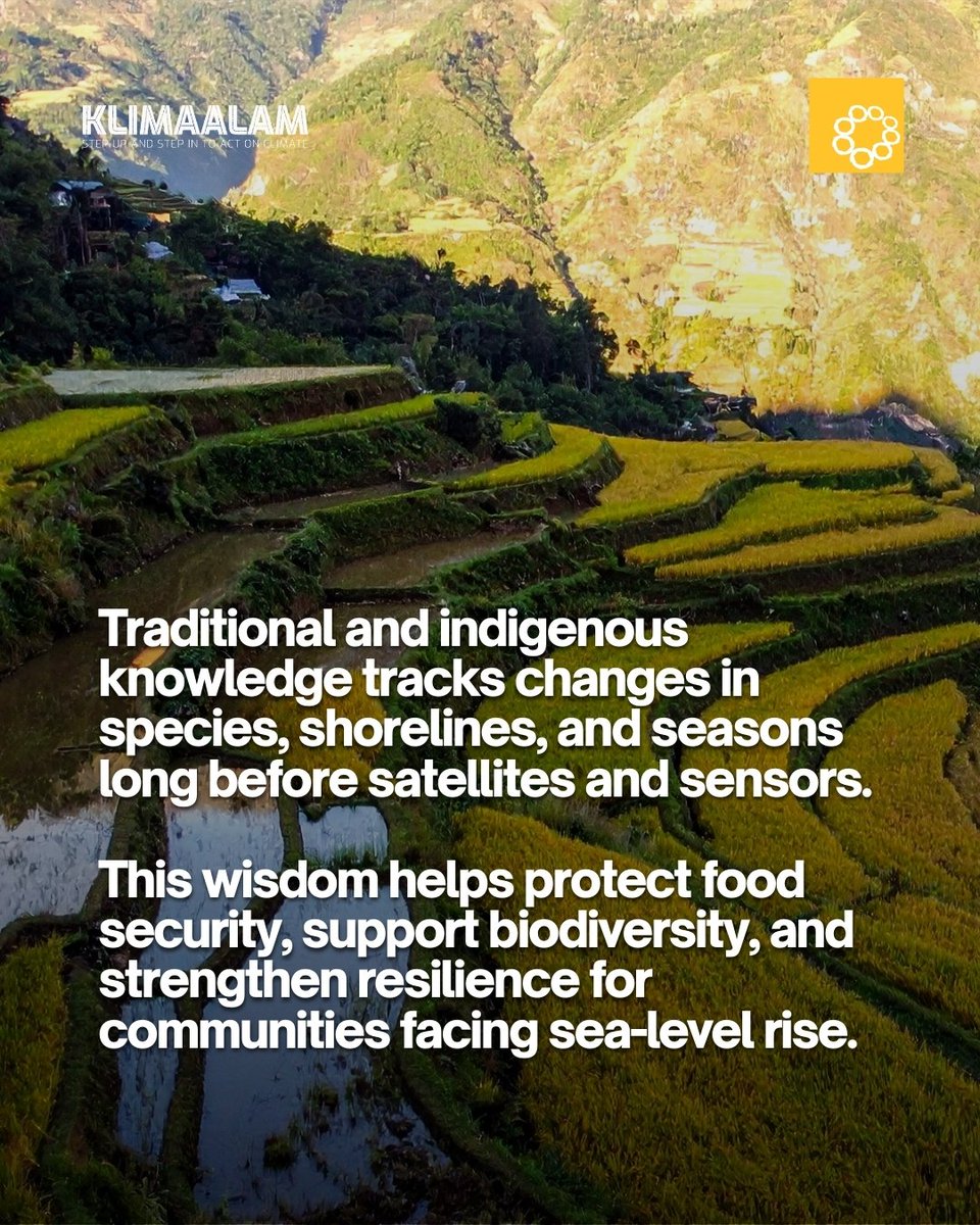 Oscar M. Lopez Center tweet media