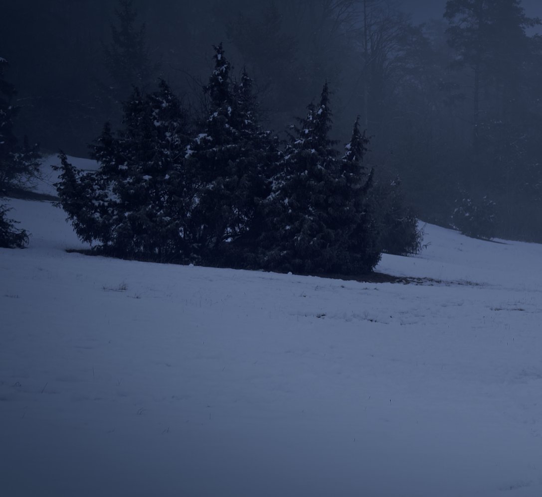 bequality 💎 tweet media