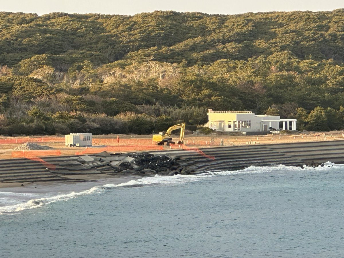 高山箕犀 tweet media