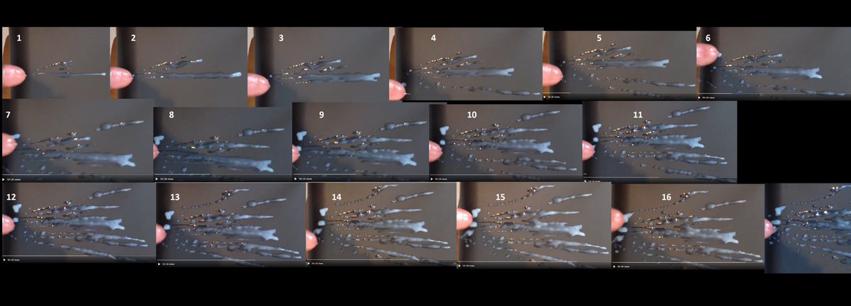 16squirtsofcum tweet media