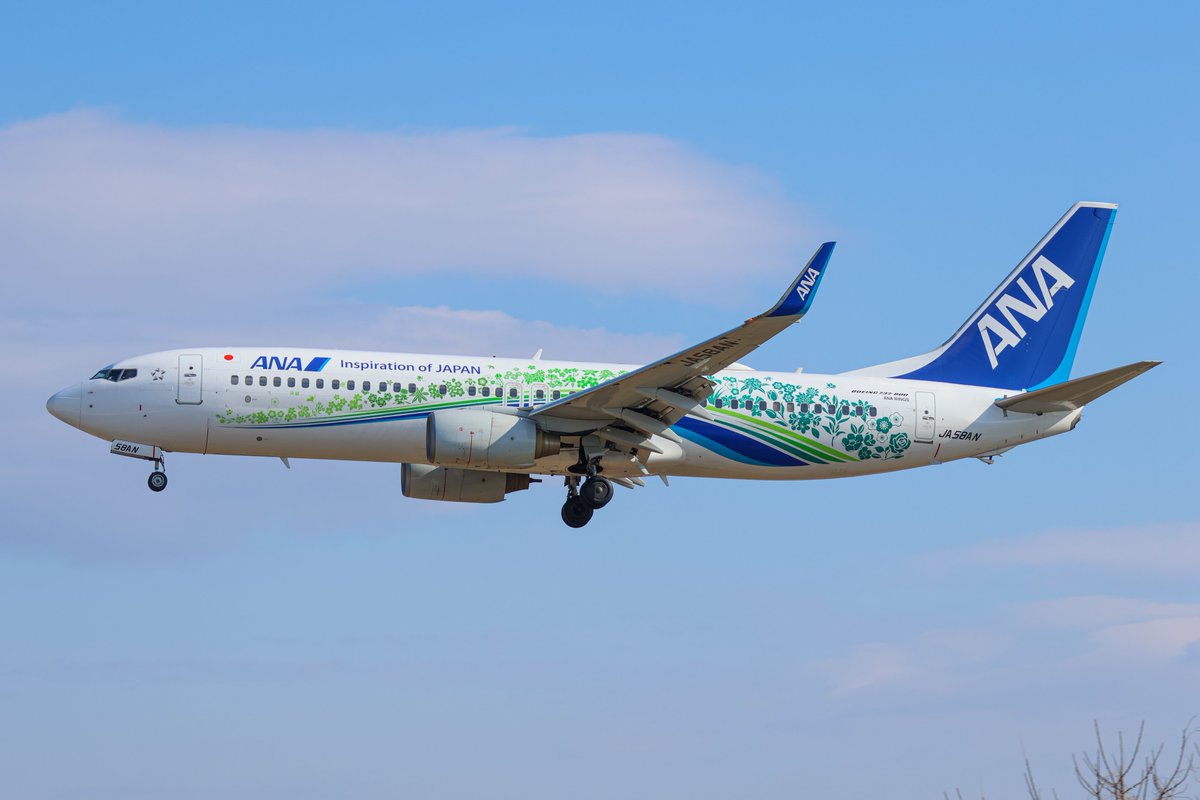 ヒコオタ(飛行機写真) (@gm3685929653969) / Posts / X