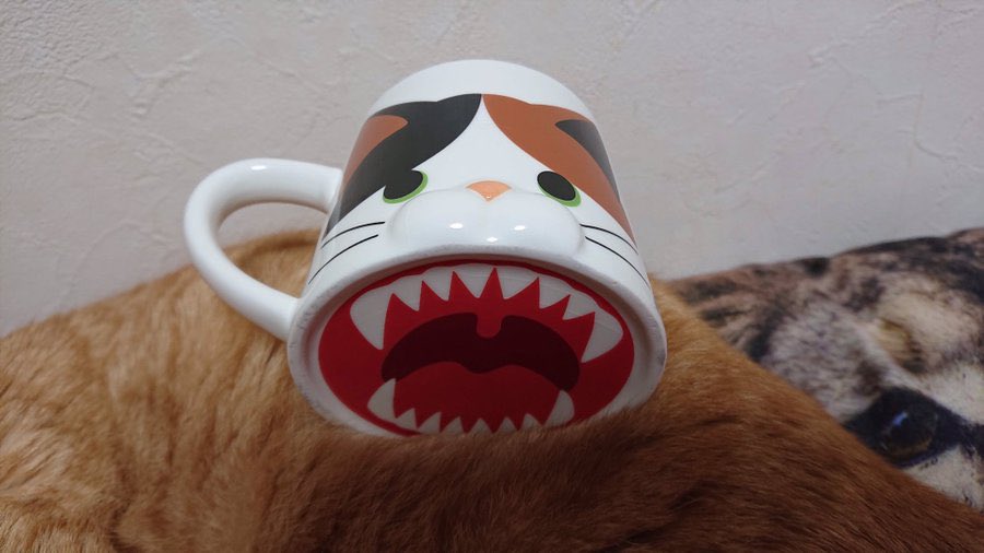 The perfect mug doesn’t exi-
