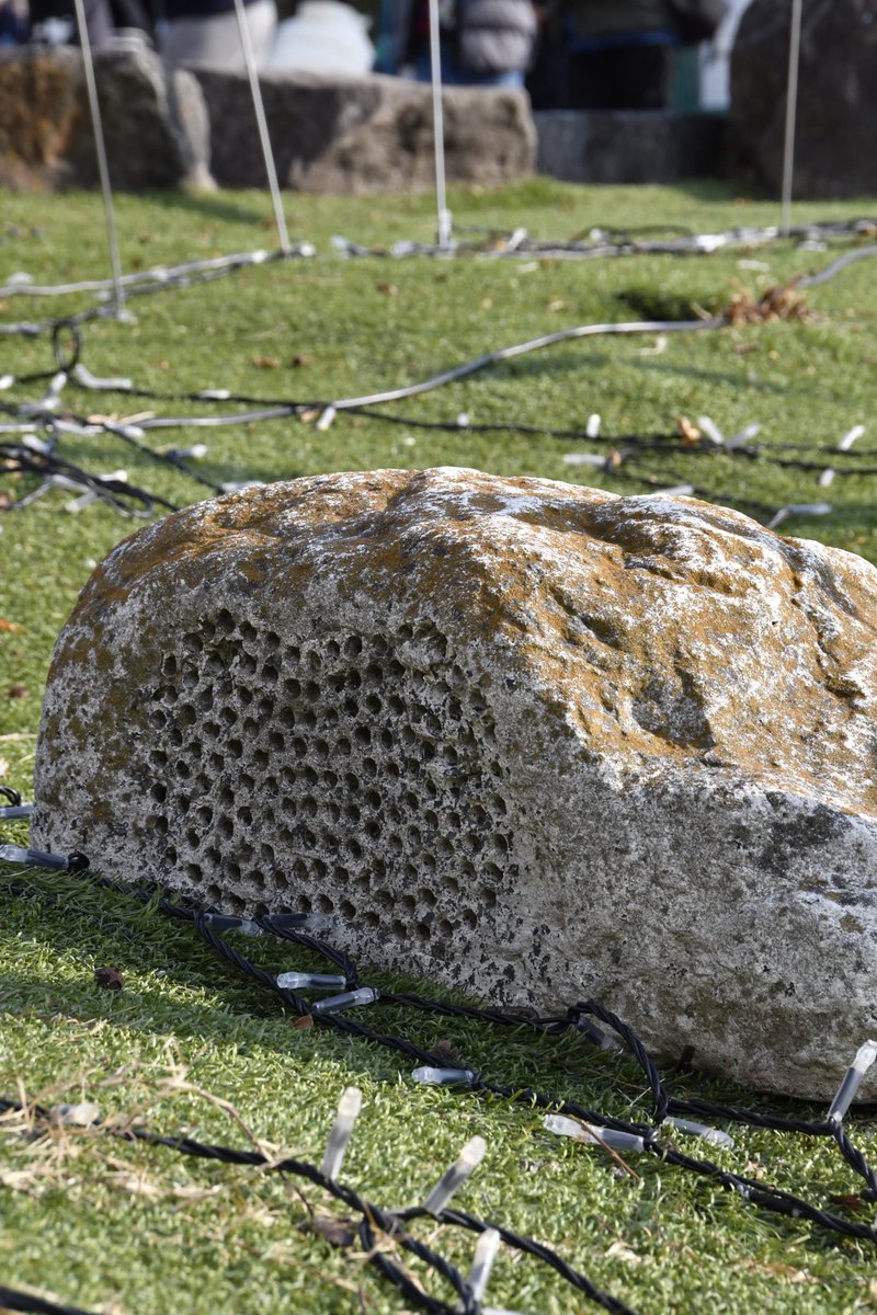 ひらかたパーク tweet media