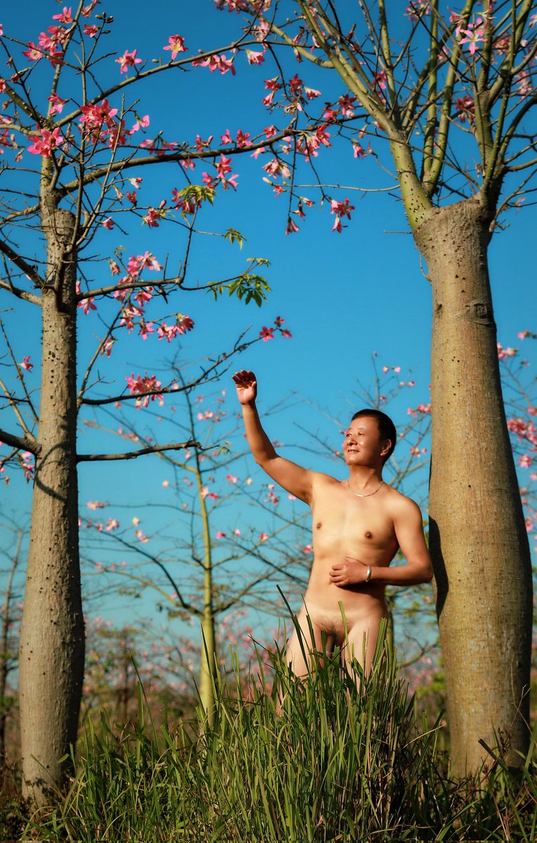 宁叔&沙皮 tweet media