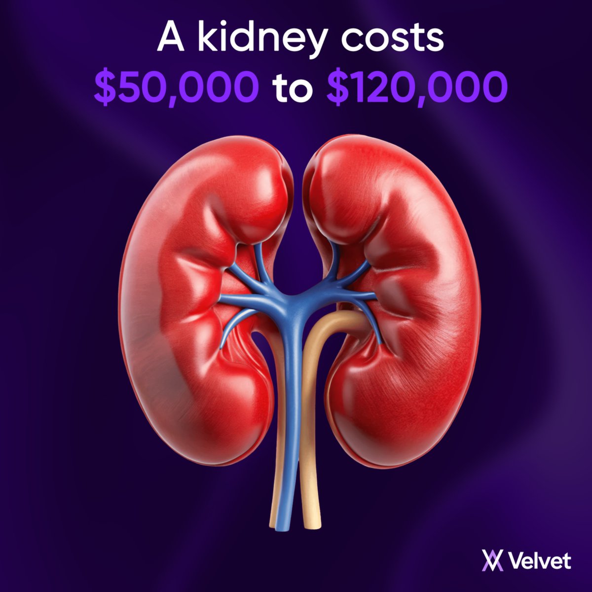 Velvet_Capital's tweet image. One last dance…