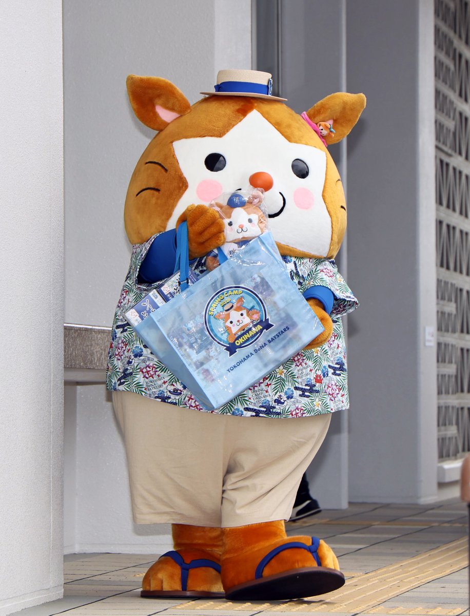 ベイスターズ情報@サンスポ tweet media