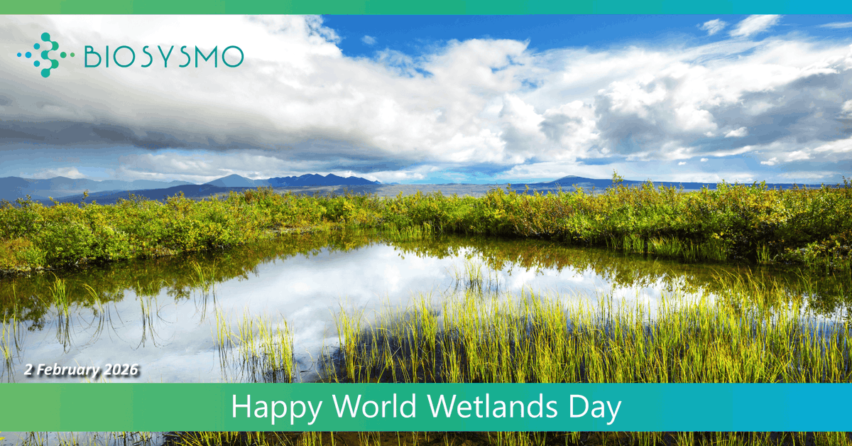 BIOSYSMO Project tweet media