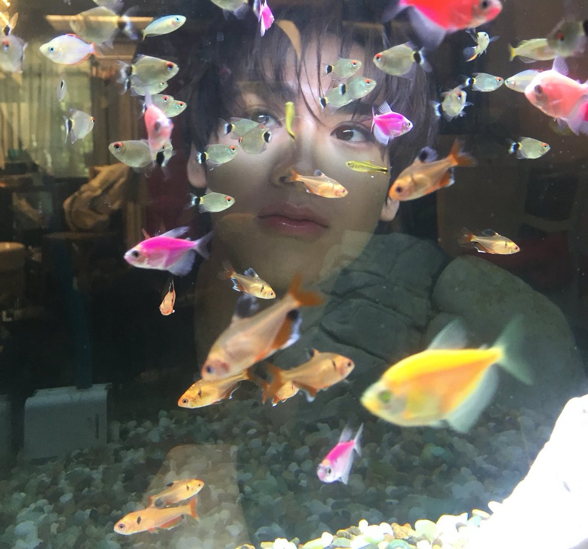 urmeowkittq's tweet image. มีใครอยากบอกอะไรนี่มั้ย