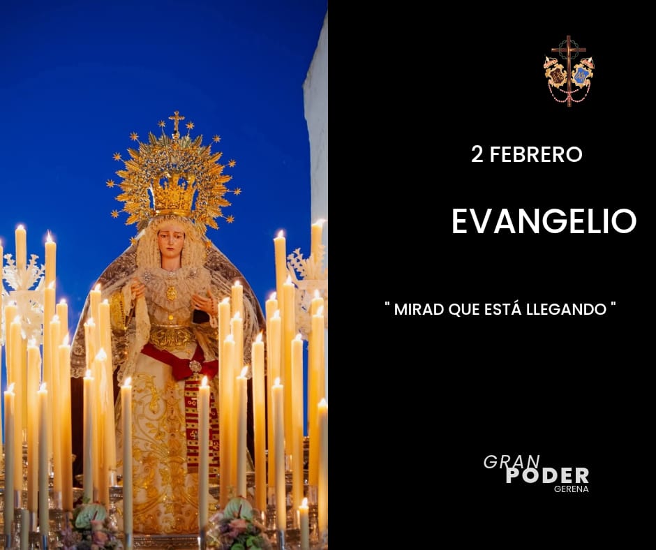 GRAN PODER GERENA tweet media