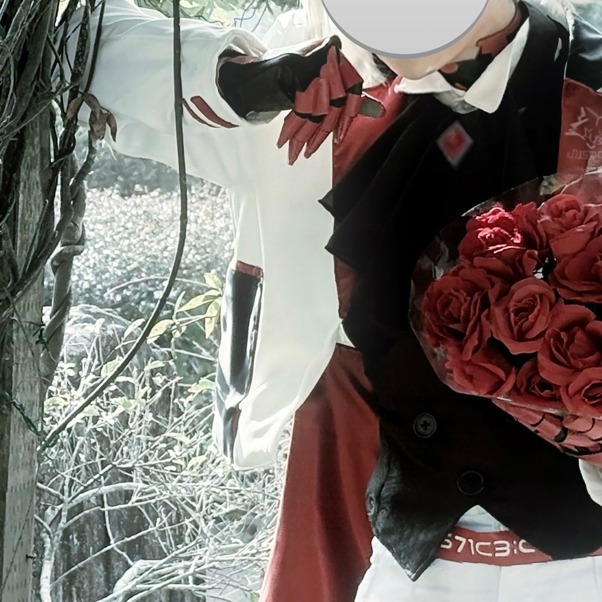 Post by コン on X: ⚡🐏