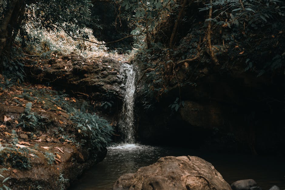 jensare51215's tweet image. اللحظات هو النور يلمس الذي الروح في العيون الصادقة. nick sandlin