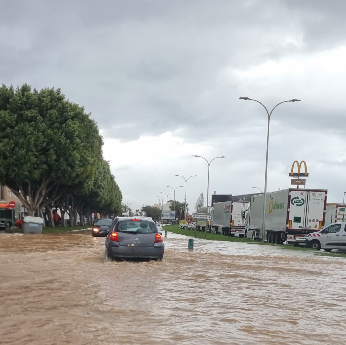 Cada vez que llueve, El Ejido se inunda. Y no es casualidad.

El Ayuntamiento tiene competencias en pluviales, alcantarillado y caminos, pero lleva años sin invertir lo necesario.

psoeejido.com/el-psoe-reclam…