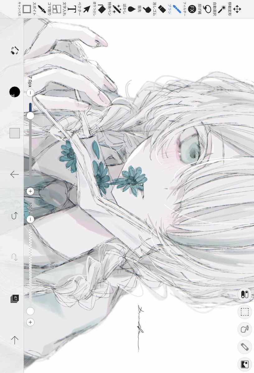 ドライフラワー イラスト集・グッズ販売中 (@Driedflower6) on X