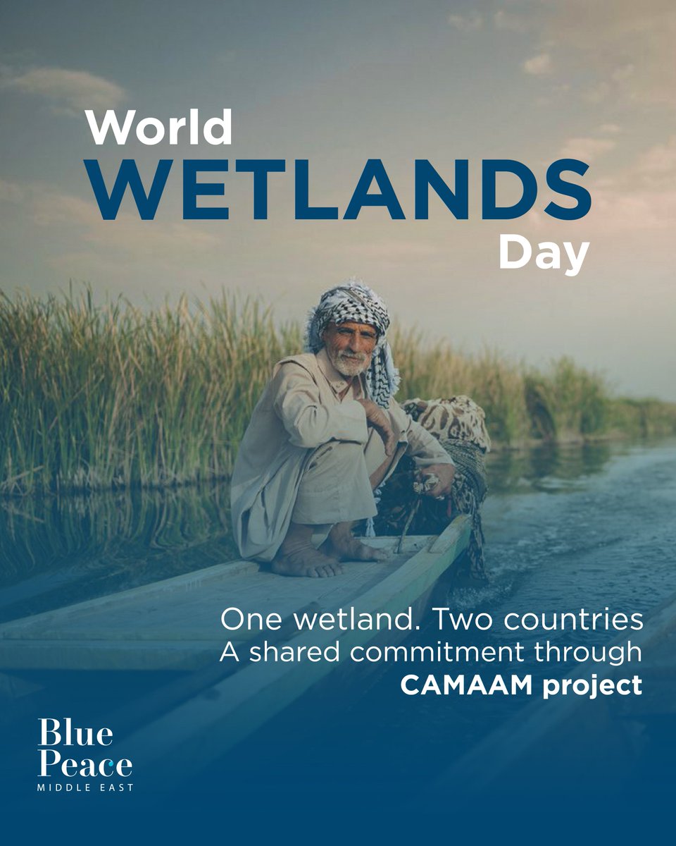 On World Wetlands Day, we reaffirm that wetlands are critical infrastructure for water security, livelihoods, biodiversity, and climate resilience.
Through the CAMAAM Project (Cooperative Assessment and Management of the Al-Hawizeh/Al-Adhim Marsh), Blue Peace Middle East supports