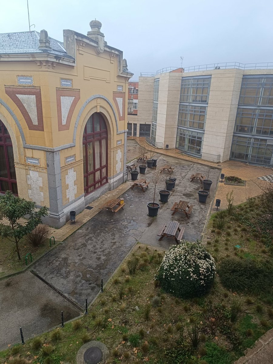 ¡Arranca el cuatrisemestre en el Grado en Matemáticas! Spoiler: habrá mates... y mucho café. ☕📊