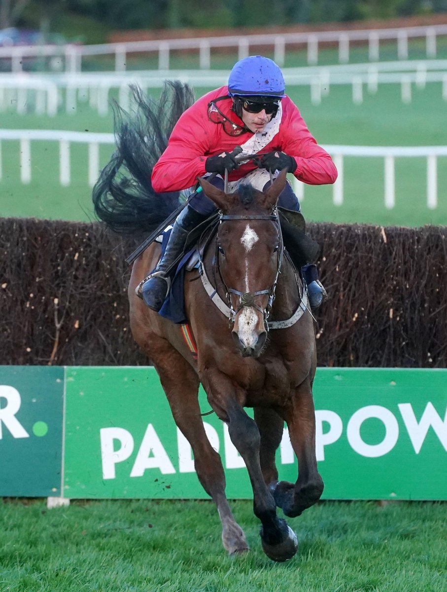 The Winners Enclosure tweet media