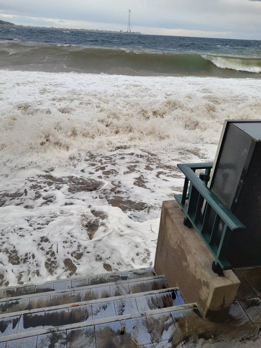 Francesco (@frances10419470) on Twitter photo 