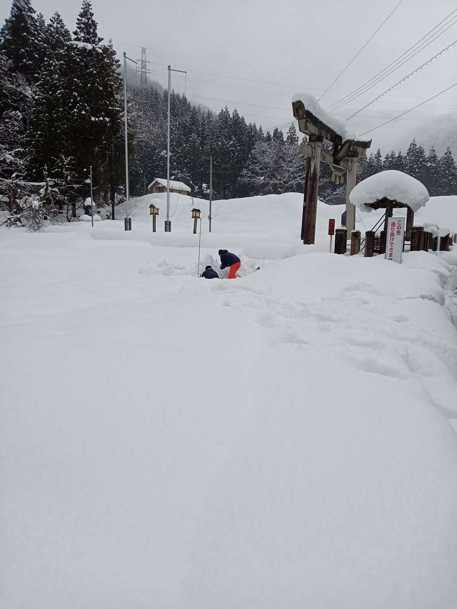 ちょっとした積雪下の研究ですが、とてもつかれた