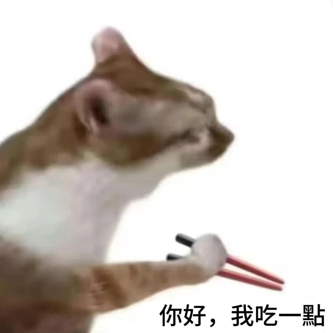 卡哇一隻伊 tweet media