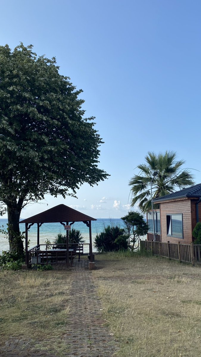 Osman ALEMDAR tweet media