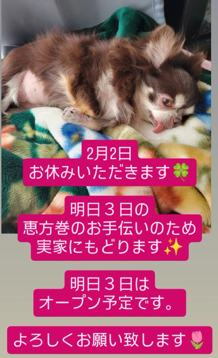 kikiさんよろしくお願い致します よろしくお願い致します🌷