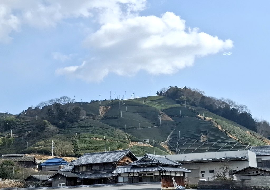 よき眺めでした