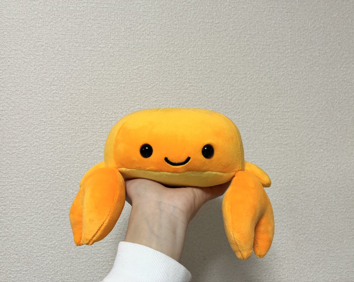 昨日2/1に家族入りした「清水(しみず)」です🦀 #ぬい撮り #かに
