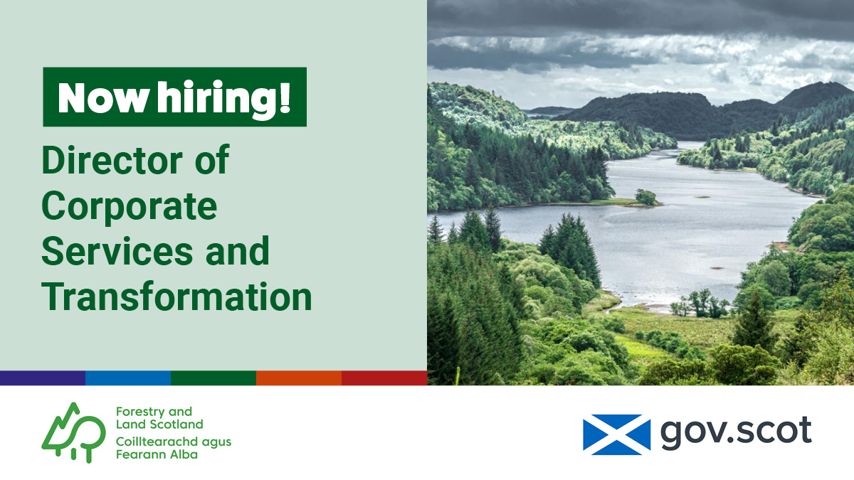 Scottish Government Jobs tweet media