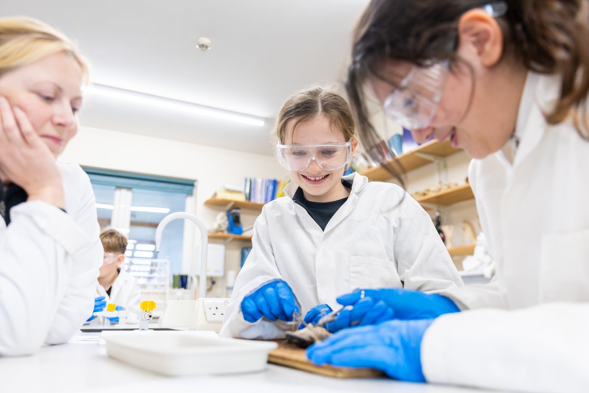 bedesprep's tweet image. As part of STEM Week, Year 8 visited the Senior School for a fascinating frog dissection. 

They were fascinated to learn how frogs breathe through their skin, contain antifreeze in their blood, and even swallow using their eyeballs! They worked with accuracy and precision!