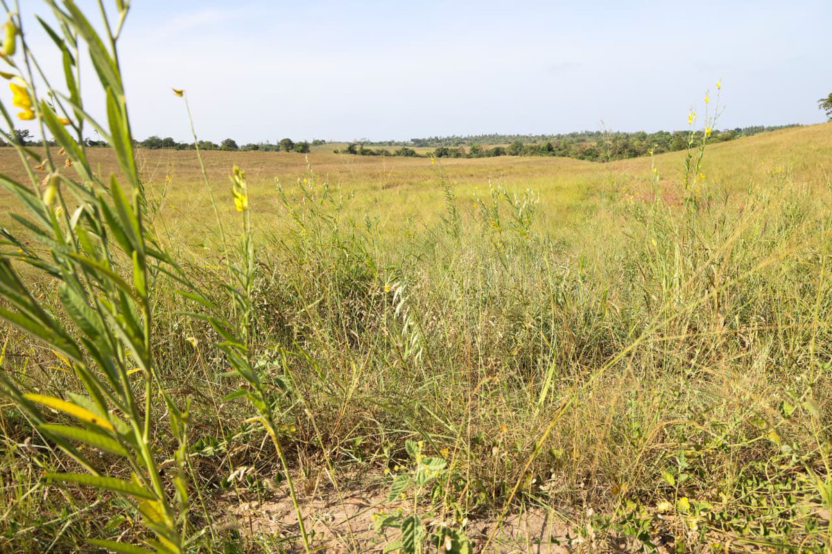 Base Titanium tweet media