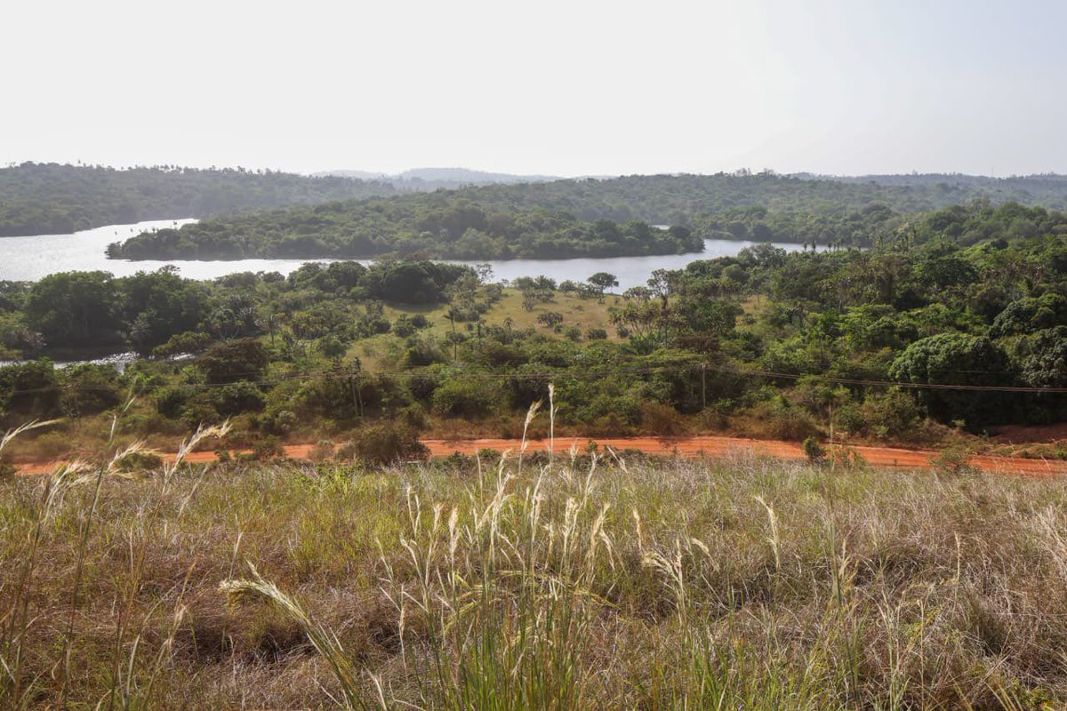 Base Titanium tweet media