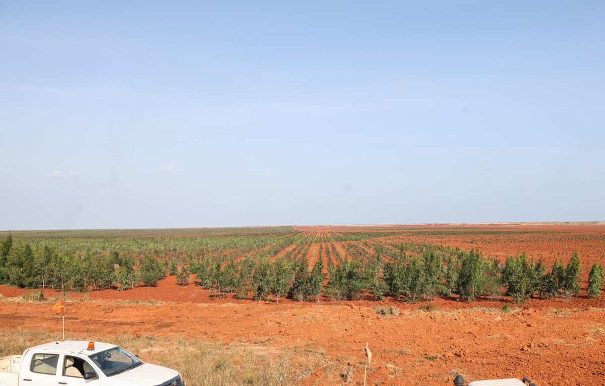 Base Titanium tweet media