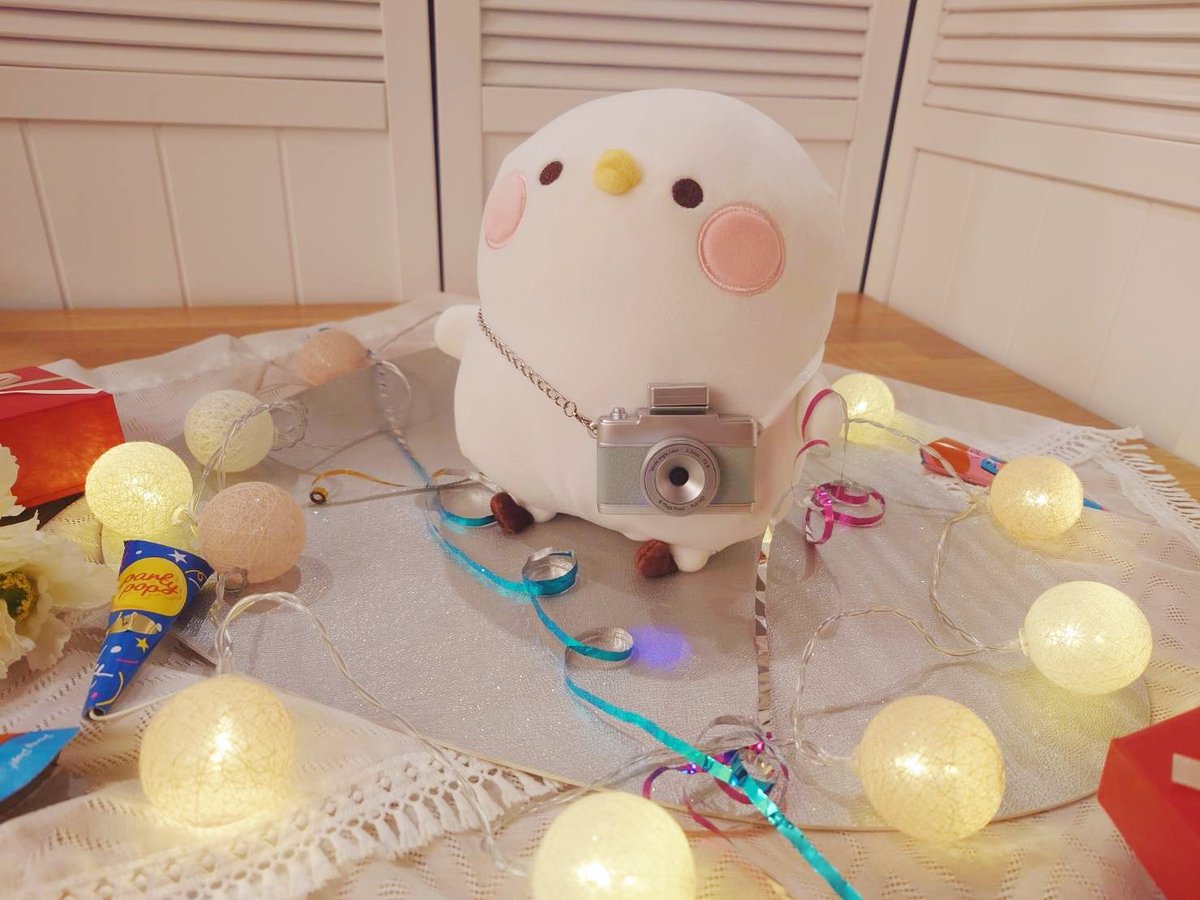 カナヘイの小動物 (@kanahei_animals) / Posts / X