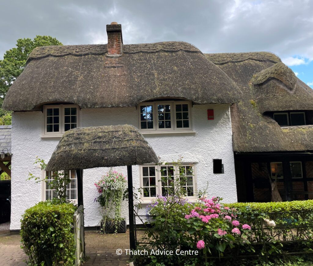 Lucky day for us with the launch of the #ThatchwithCharacter #gallery on our website, showcasing the competition entries (so far)
bit.ly/ThCharacter
#Competition runs until 1st Sept 2026 so get snapping and be in it to win it!