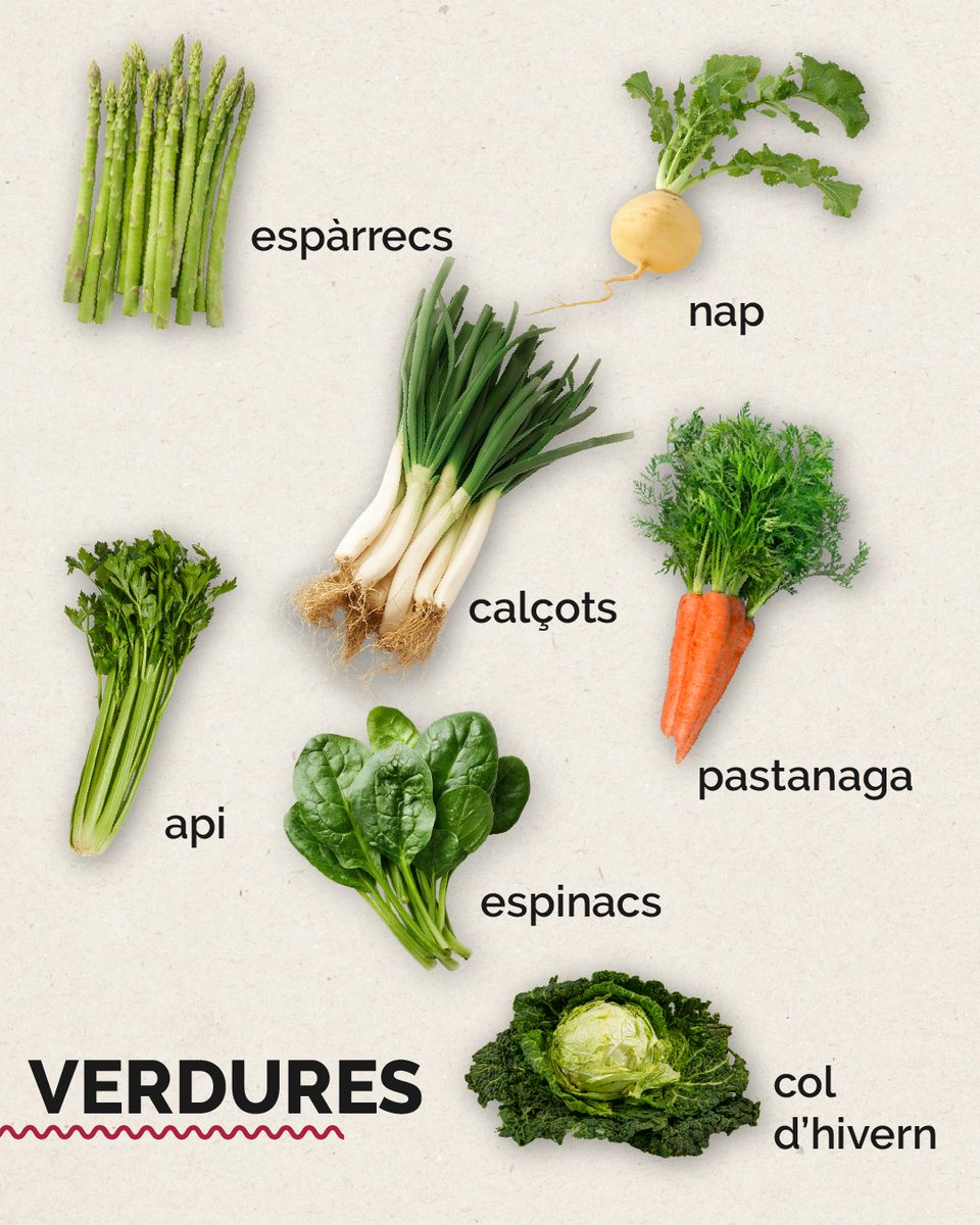 Condislife's tweet image. Hola febrer! Fred, bufandes i ganes de plats calents🧣🔥

A Condis trobaràs tots els productes de temporada per plantar cara als refredats i als dies més freds. Menjar bé també abriga! 🍲✨

#condis #condissupermercats #frescosfebrer