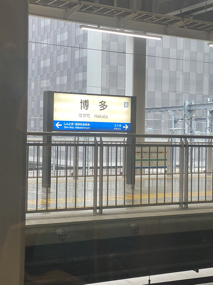 🐢𓂃⟡.·ぽぽまる ◡̈ tweet media