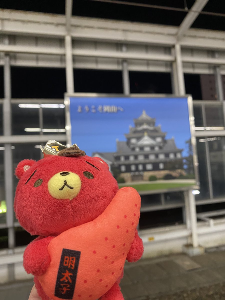 🐢𓂃⟡.·ぽぽまる ◡̈ tweet media