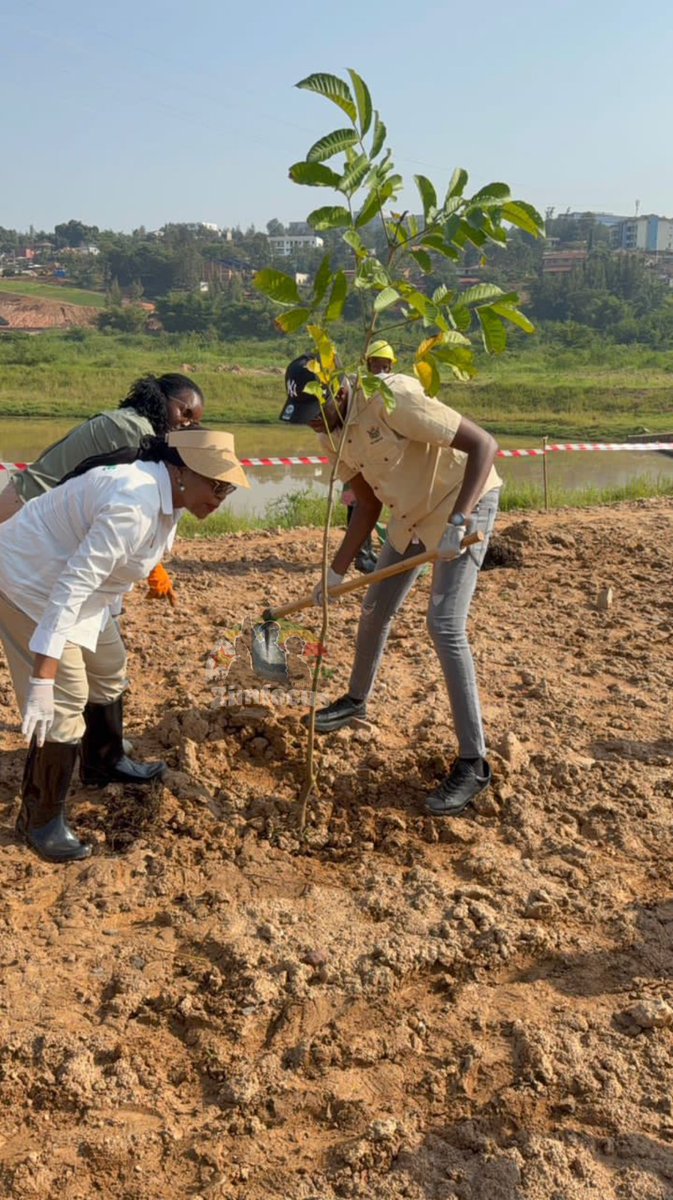 Dep Min Hon. A.T. Mavunga joined Amb Manyeruke, Rwanda’s Min of Environment &amp; the Mayor of Kigali to mark #WorldWetlandsDay, planting trees and grass under the Umuganda programme.
The event was held on the sidelines of the National Prayer Breakfast hosted by the Rwanda Leaders