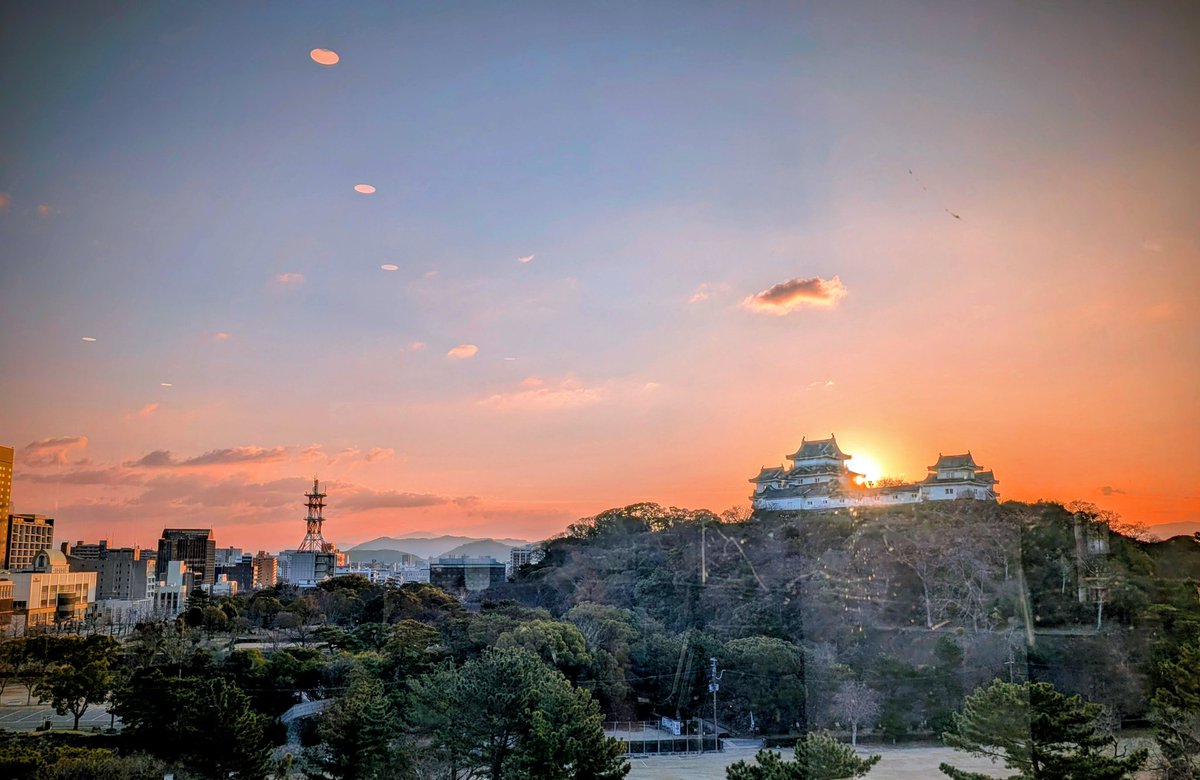 OhjiShunsuke's tweet photo. 日本物理療法合同学術大会2026での助成演題の発表が無事に終わりました🦵

電気刺激が片脚着地時の衝撃吸収能力に及ぼす急性効果−健常成人を対象とした検証− https://t.co/njRKmxA1jf