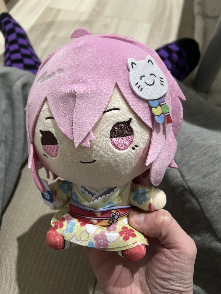 nqrse #もちどる #大妖怪 届きました✨