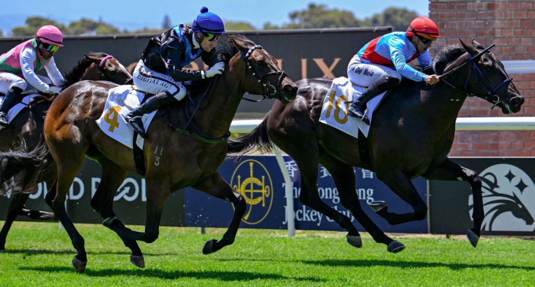 FreemanStallions tweet media