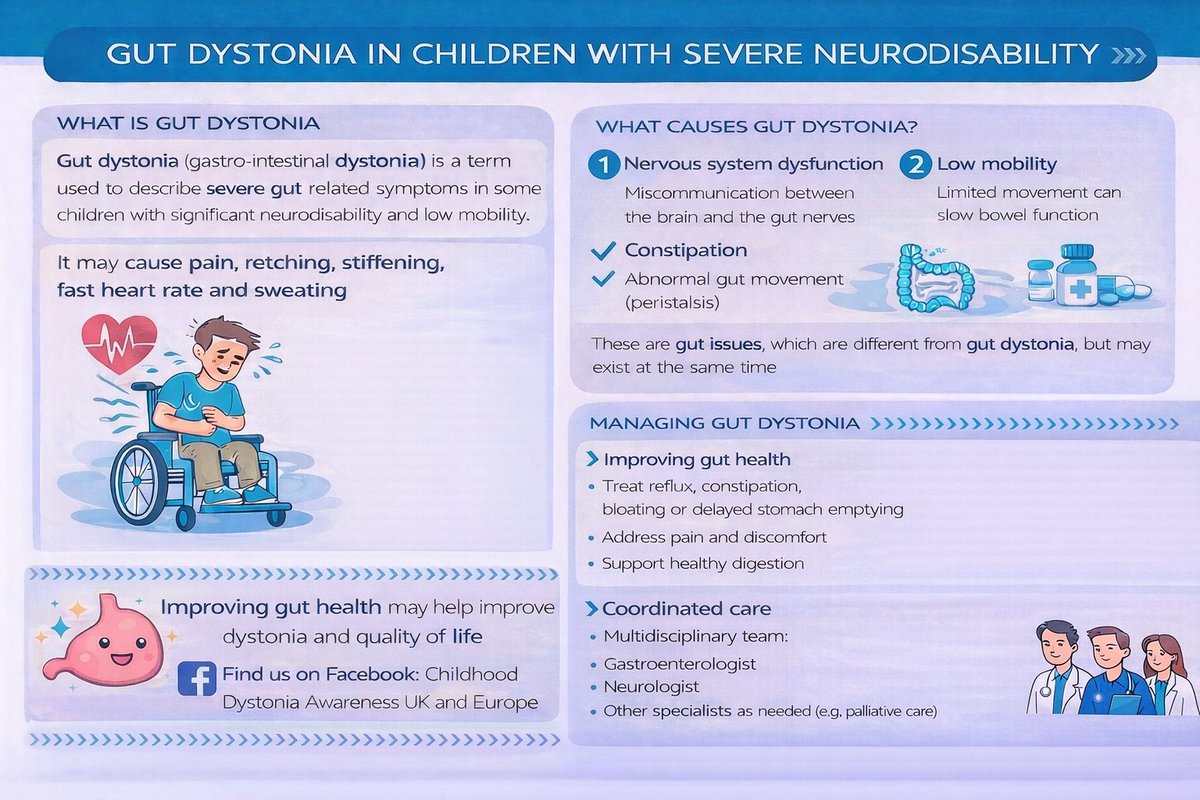 CDAUK2024's tweet photo. So much more needs to be done to combat gut issues in Dystonia. 95% of parents in our support group believe gut issues are there childrens biggest cause of dystonic flare ups. Surely more research can be done around this. https://t.co/Z0PlJ8uctE