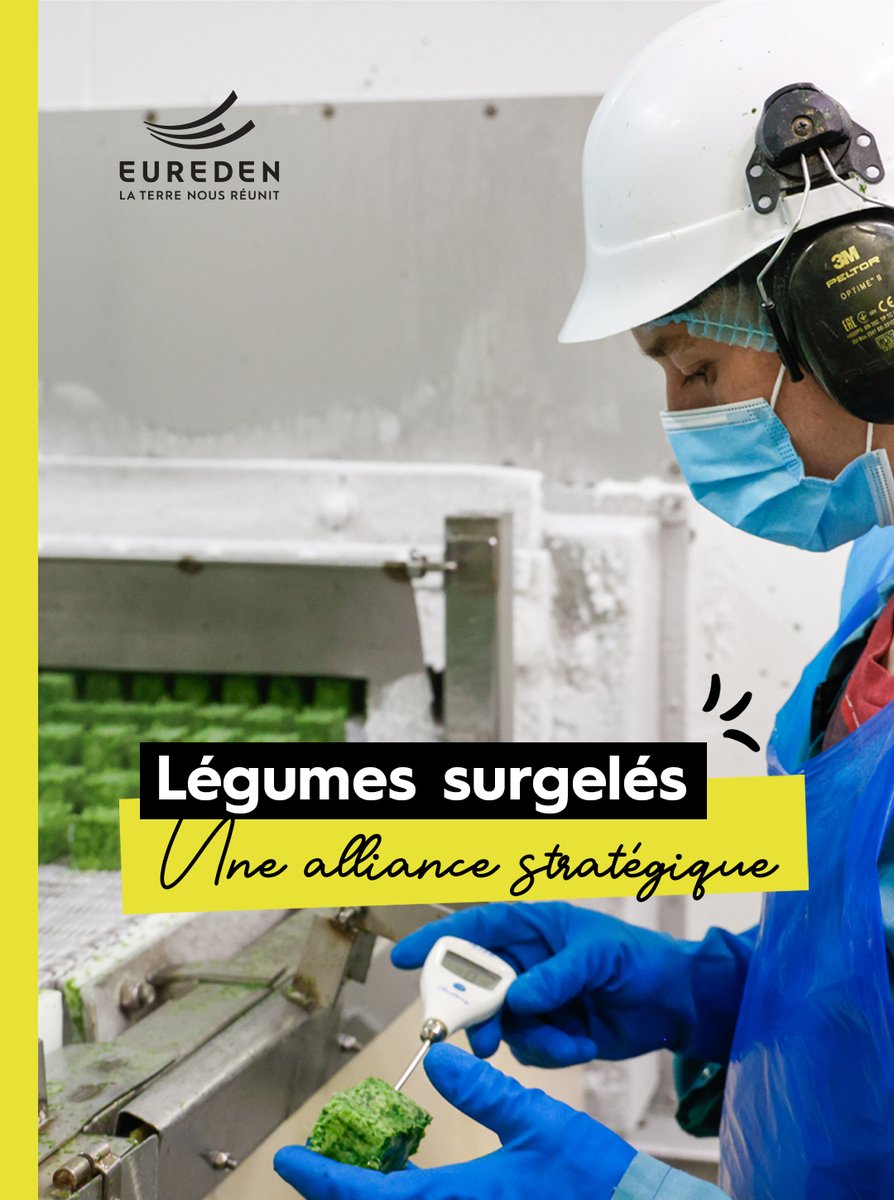 EuredenGroup's tweet photo. Un partenariat structurant dans les légumes surgelés

Gelagri Bretagne, filiale d’Eureden, et Greenyard Frozen France franchissent une nouvelle étape avec la finalisation de leur alliance stratégique dans les légumes surgelés en France,désormais effective. https://t.co/UXmtHeVFvf https://t.co/uz9Ls5Wk7Y