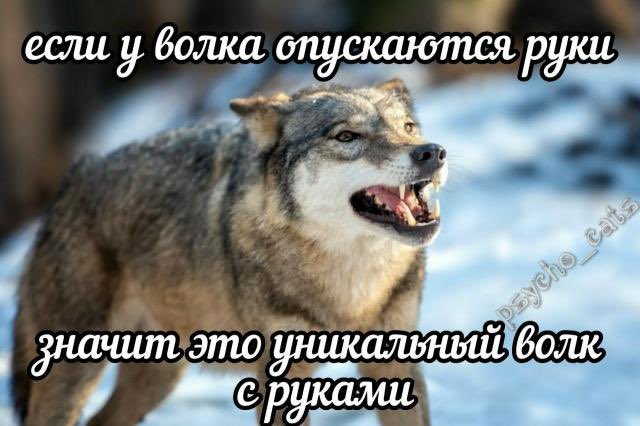 Евгений Григорьев (@grigorevyakutsk) on Twitter photo 