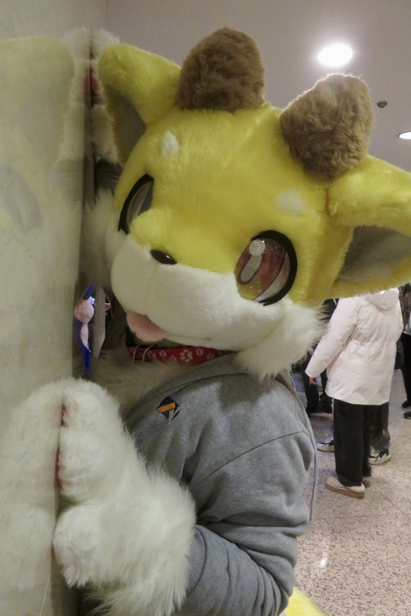 かめかめ (@kamekame_kemo) / Posts / X