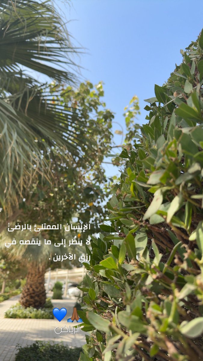 الإنسان الممتلئ بالرضىٰٰ
لا ينظُر إلى ما ينقصه في رزقِ الآخرين .

#مساء_الخير 
#خواطر