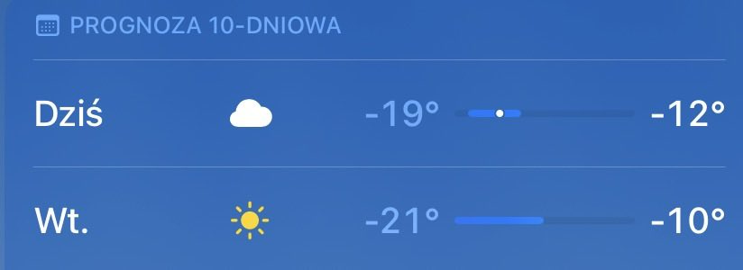 liwia𖤐 will see lara!! tweet media