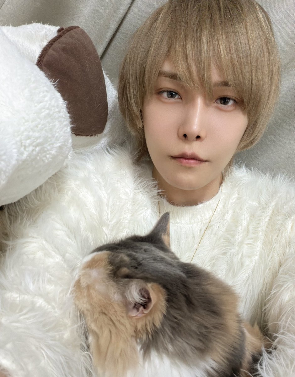 天月-あまつき- (@_amatsuki_) / Posts / X