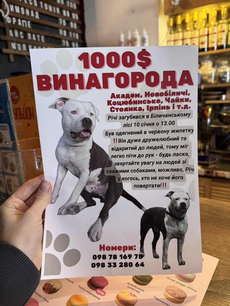Може хто бачив🐾