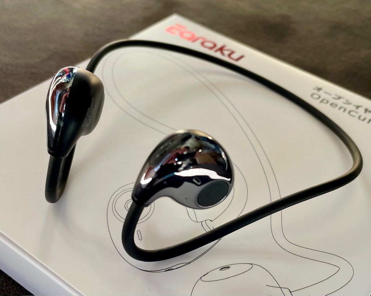 今年も早一ヶ月が経ちましたが、実は年末年始に行方不明になったBluetoothイヤホンが結局見つかりませんでした😭
このひと月出かける時は何も聴かずに移動してましたが、いよいよ新しいものを買いました。
この手のイヤホンもついに5台目です。